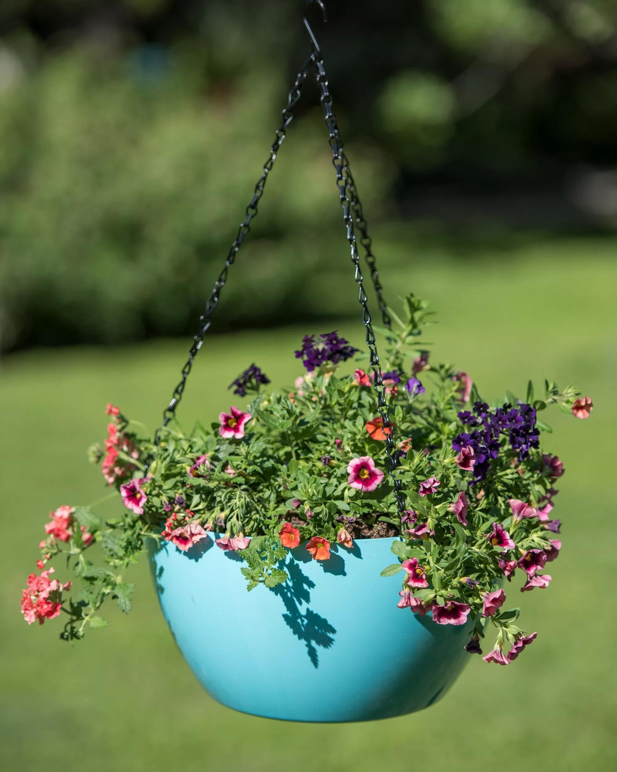 VivaTM Self-Watering Hanging Basket, 14" Diameter