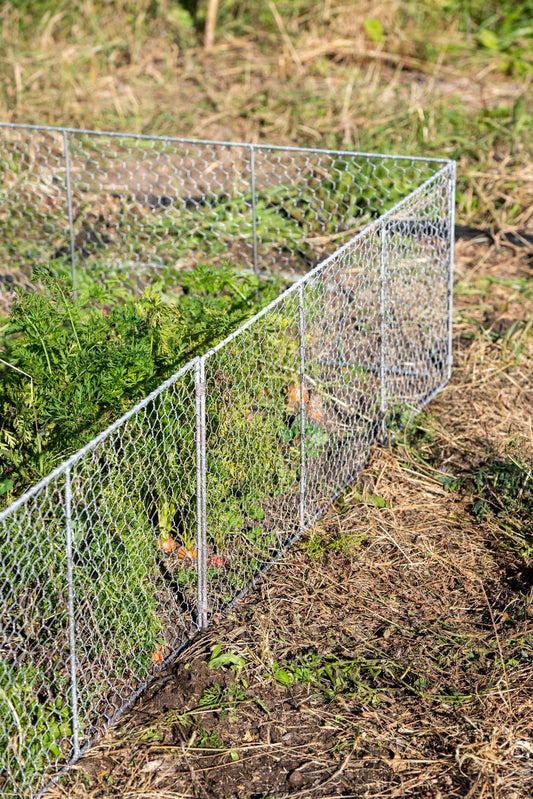 Chicken Wire Critter Fence, 16" High