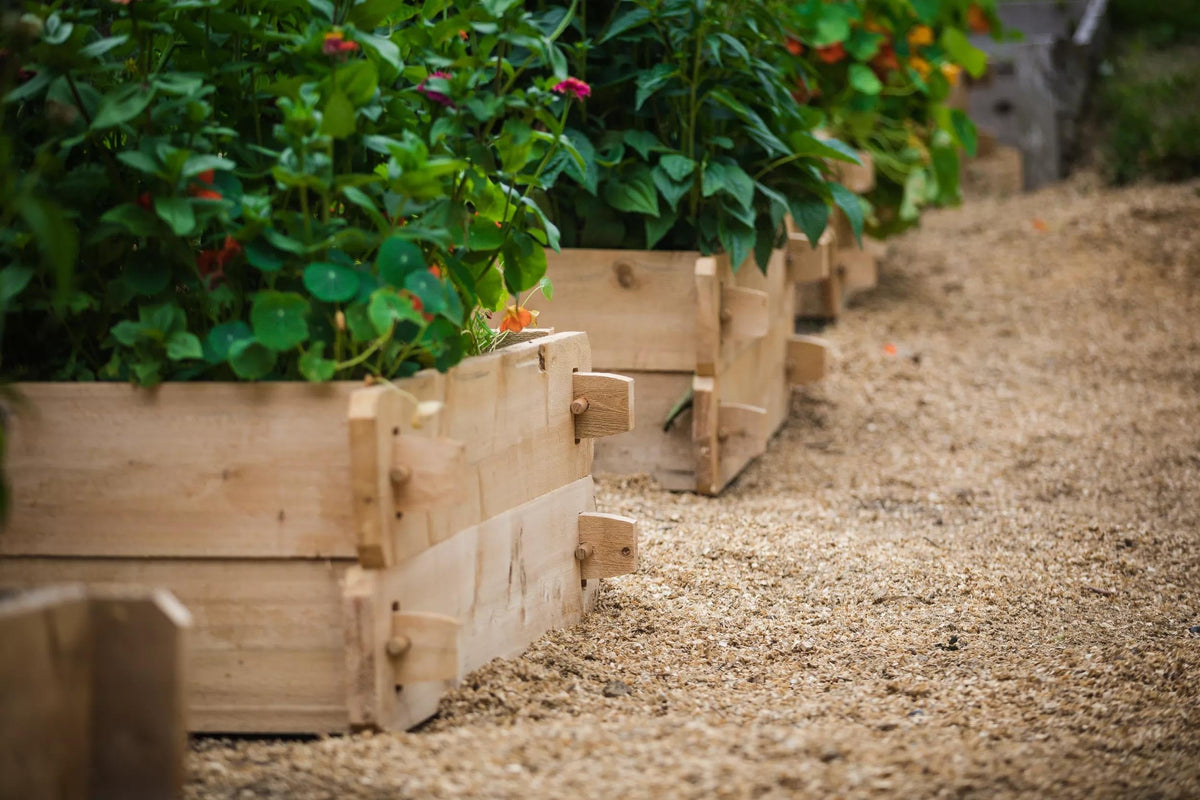 Farmstead Cedar Raised Garden Beds, 3'