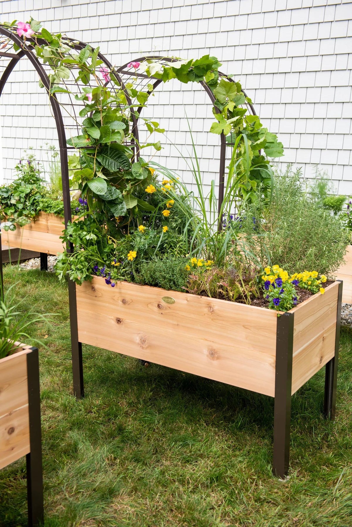 2' x 4' Arch Trellis for Planter Boxes