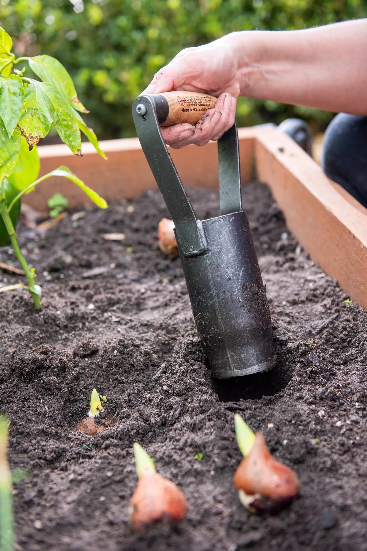 Gardener's Lifetime Large Bulb Planter