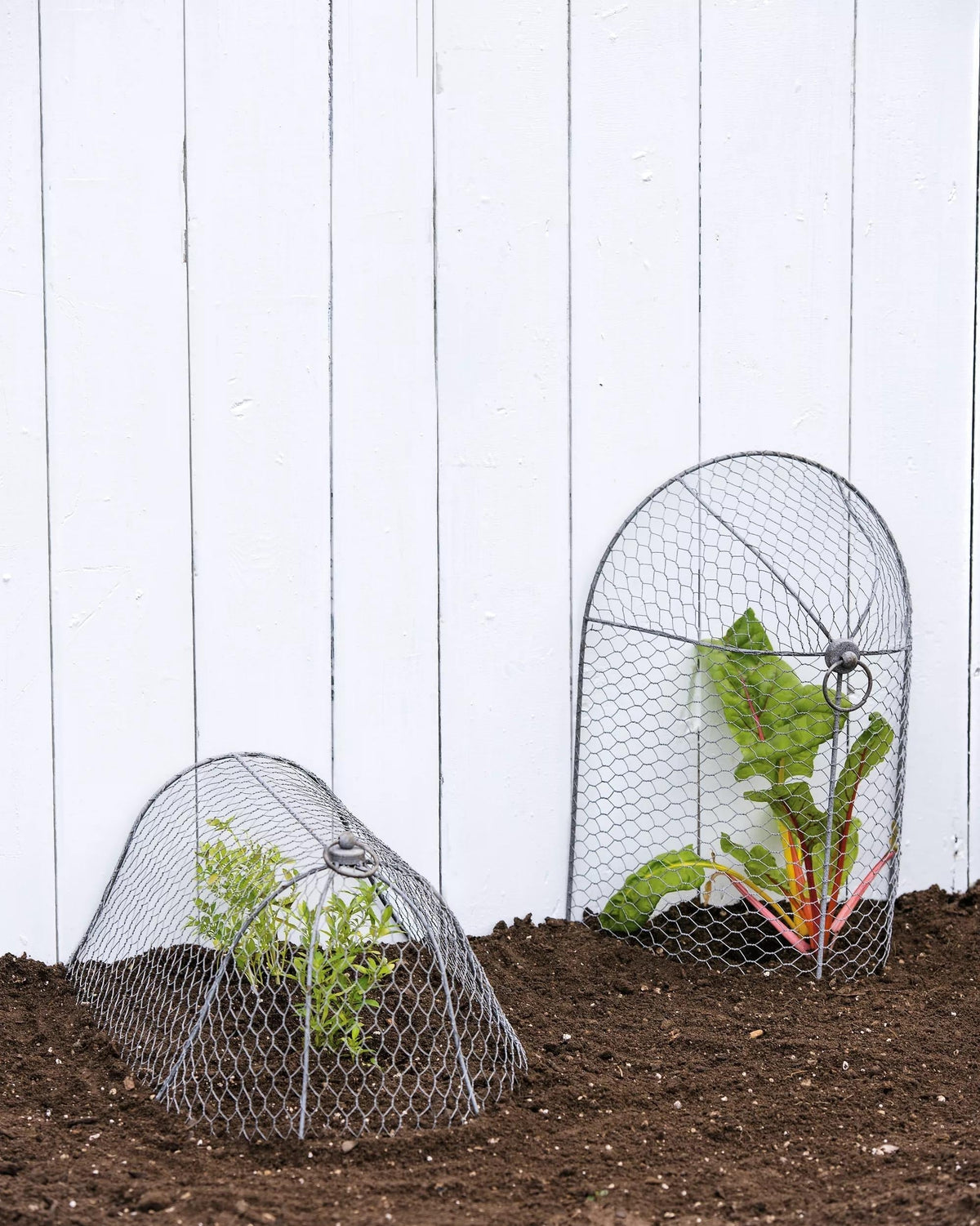 3-in-1 Chicken Wire Cloche