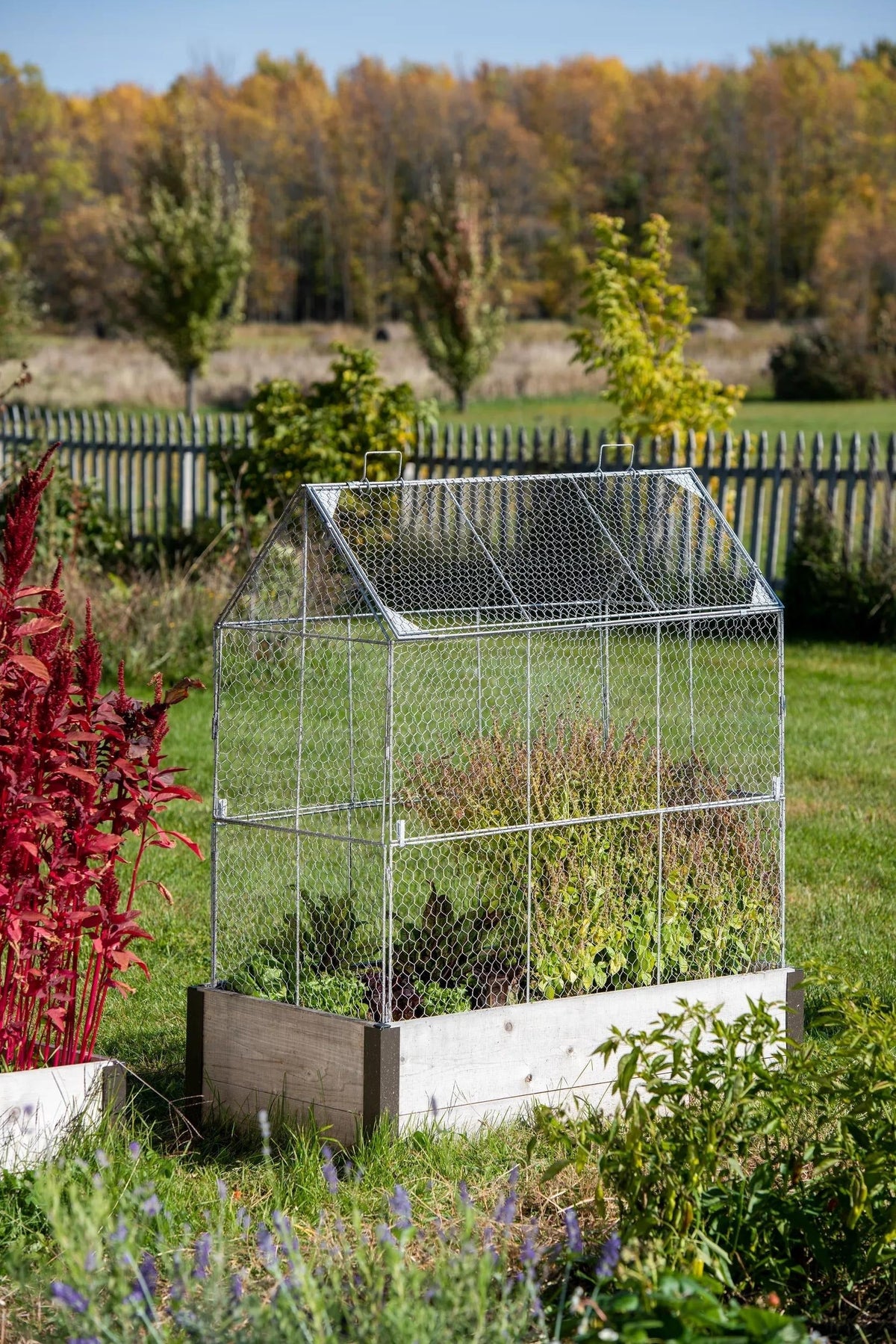 Chicken Wire Crop Coop Extension