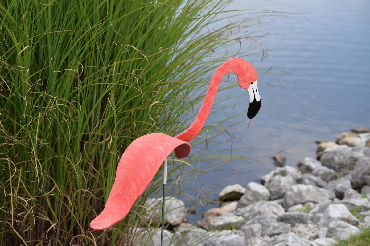 Florida Dancing Birds®, Flamingos