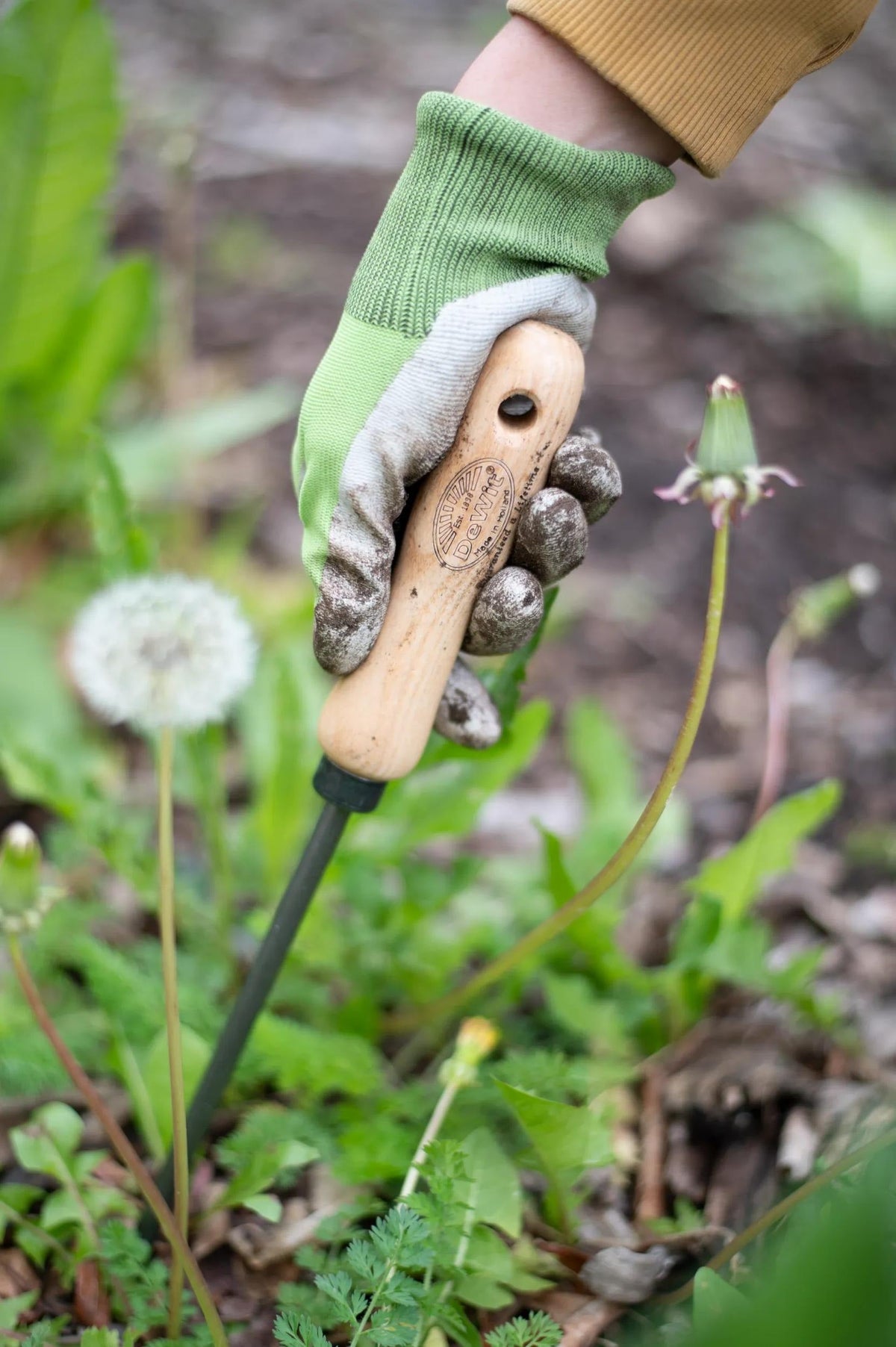 Lifetime Dandelion Weeder