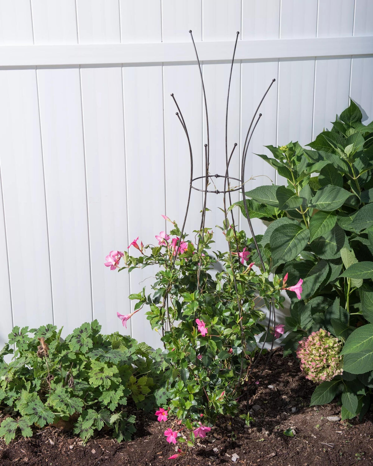 JardinTM Pot Trellis
