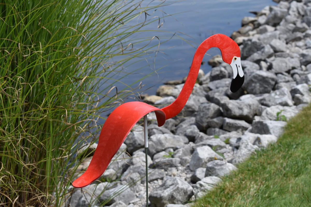 Florida Dancing Birds®, Flamingos