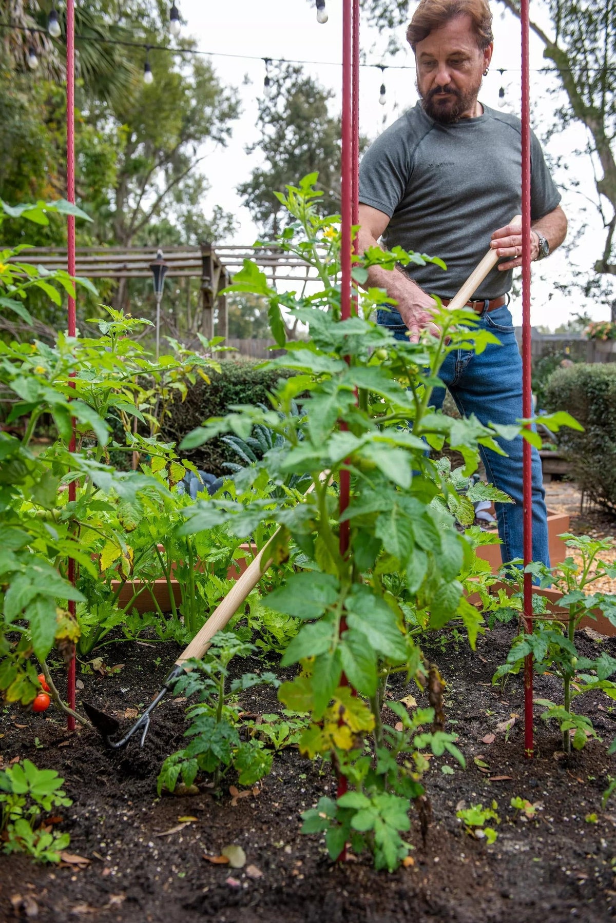 Gardener's Lifetime Long-Handled Double Tool