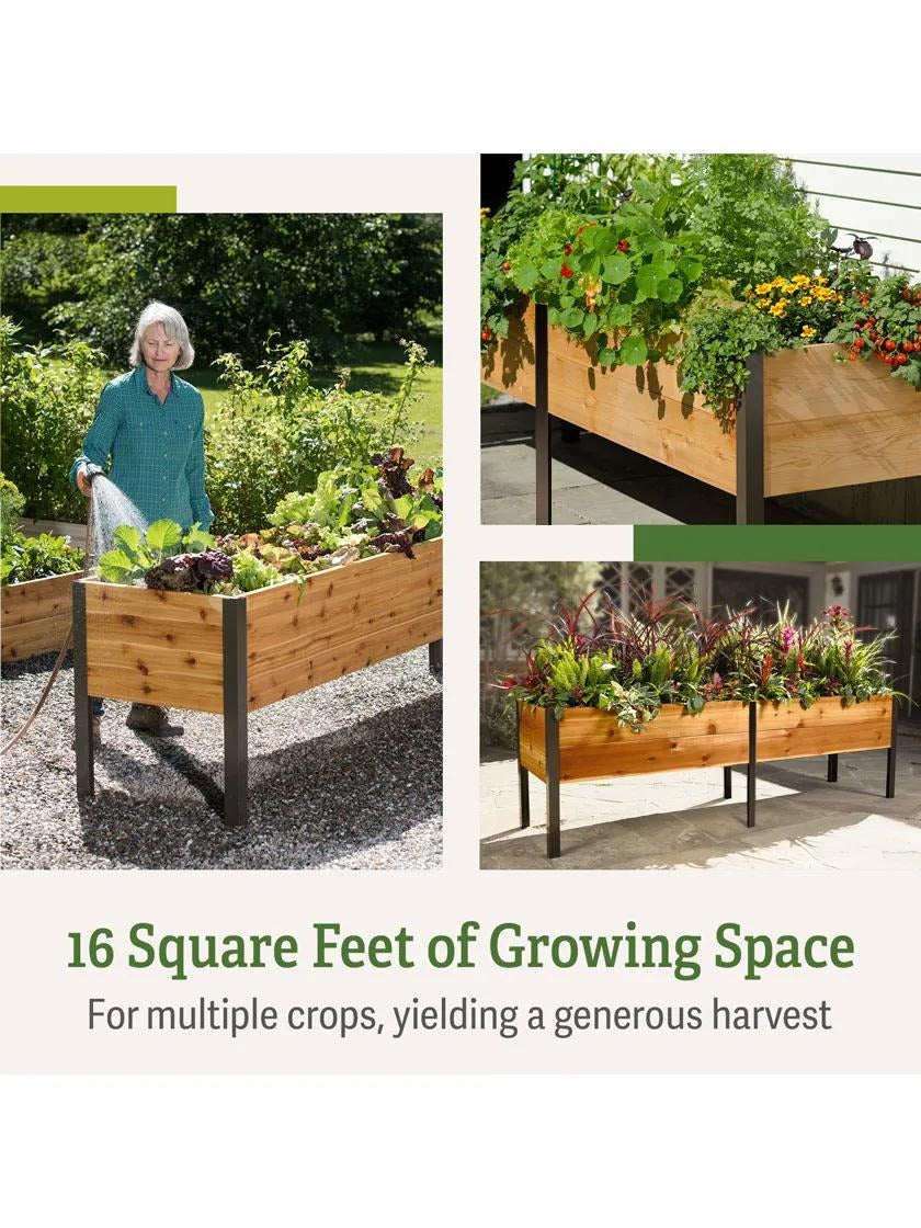 Elevated Cedar Planter Box, 2' x 8'