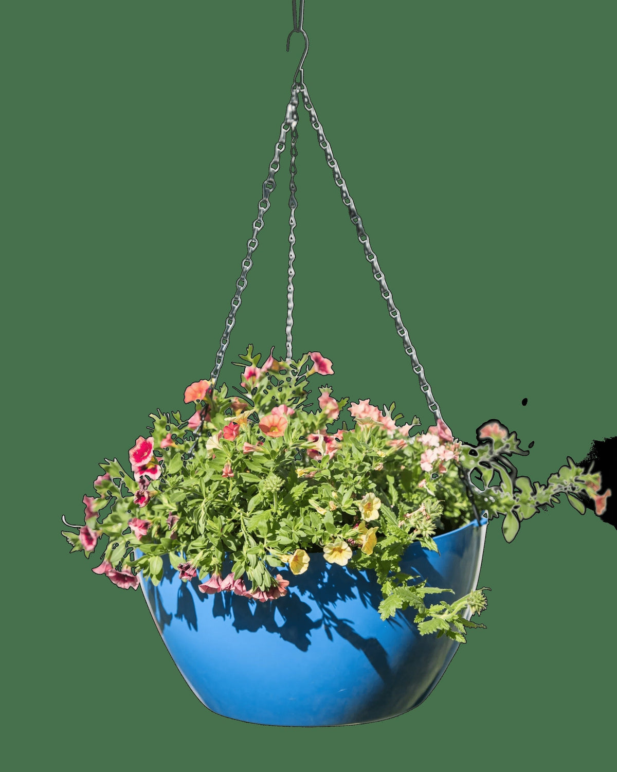 VivaTM Self-Watering Hanging Basket, 14" Diameter