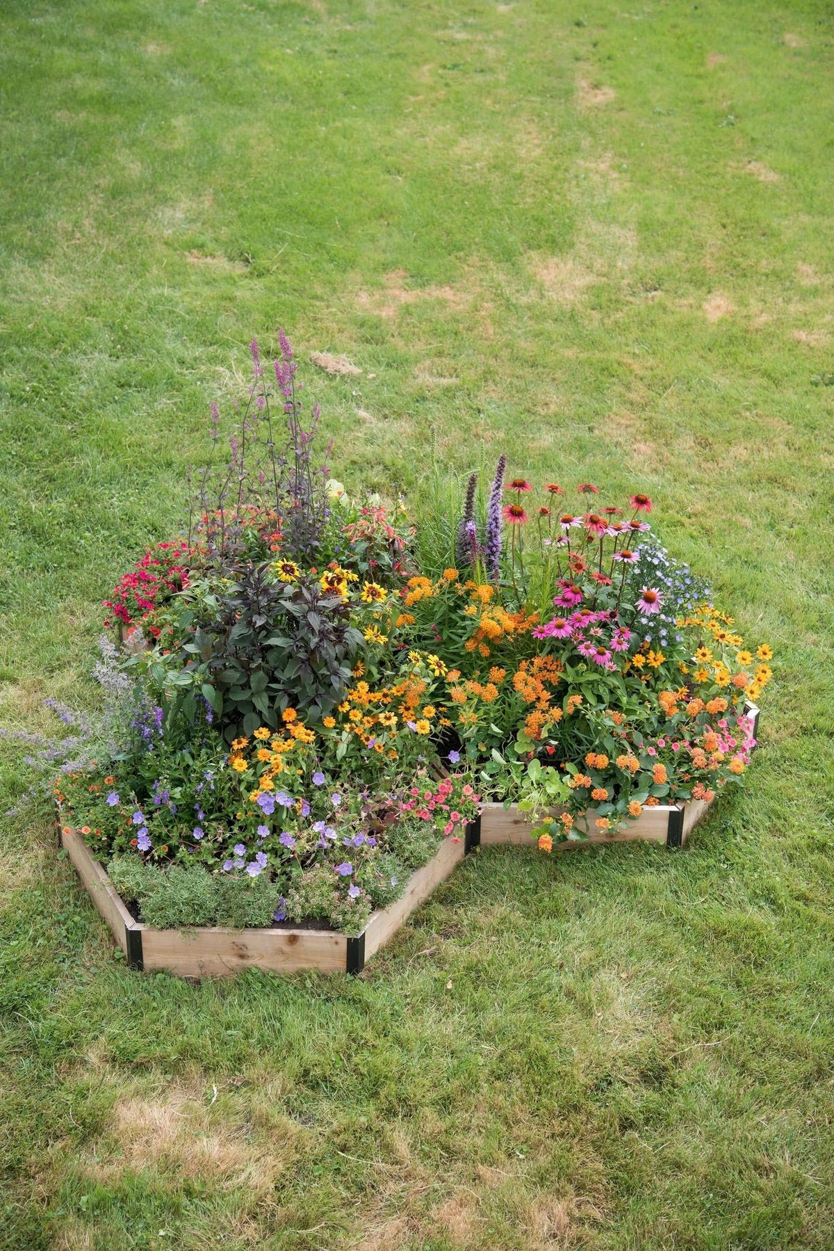 Pollinator Cedar Garden Bed