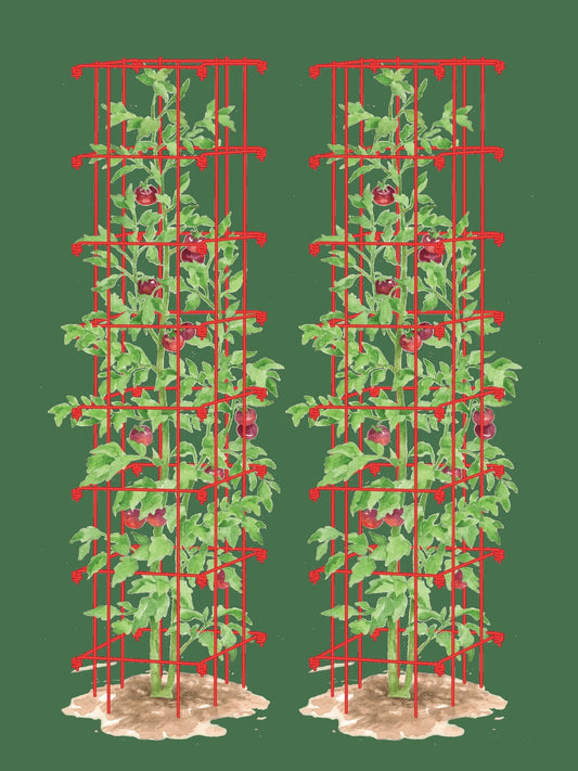 Tomato Towers, Set of 2