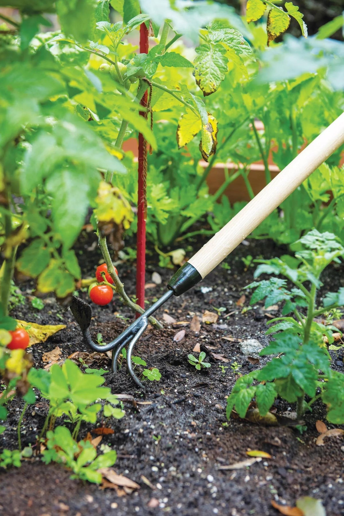 Gardener's Lifetime Long-Handled Double Tool