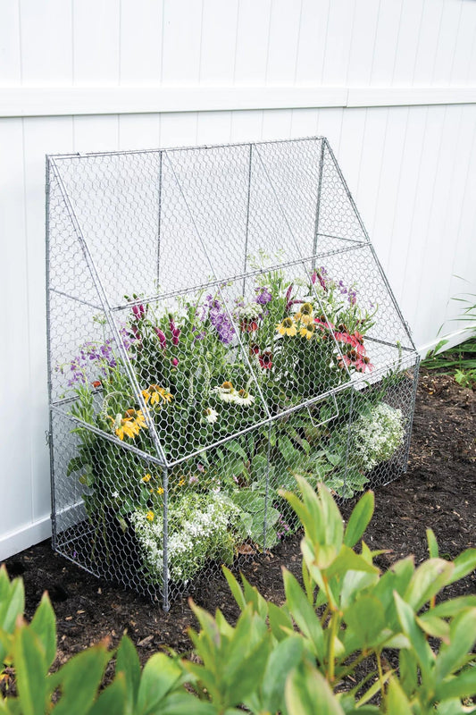 Chicken Wire Flat Back Crop Coop
