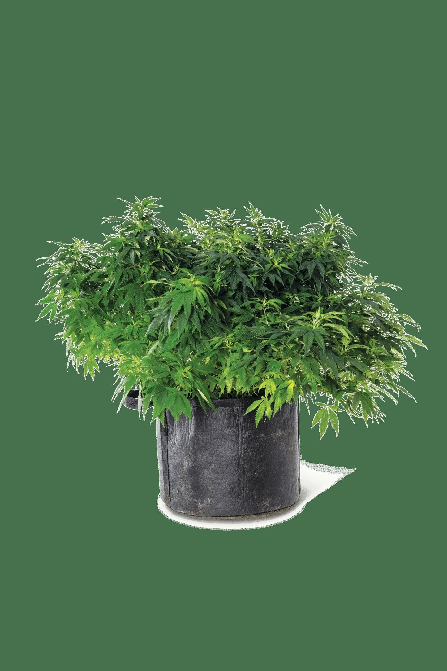 Gardener's Best® Universal Grow Bag
