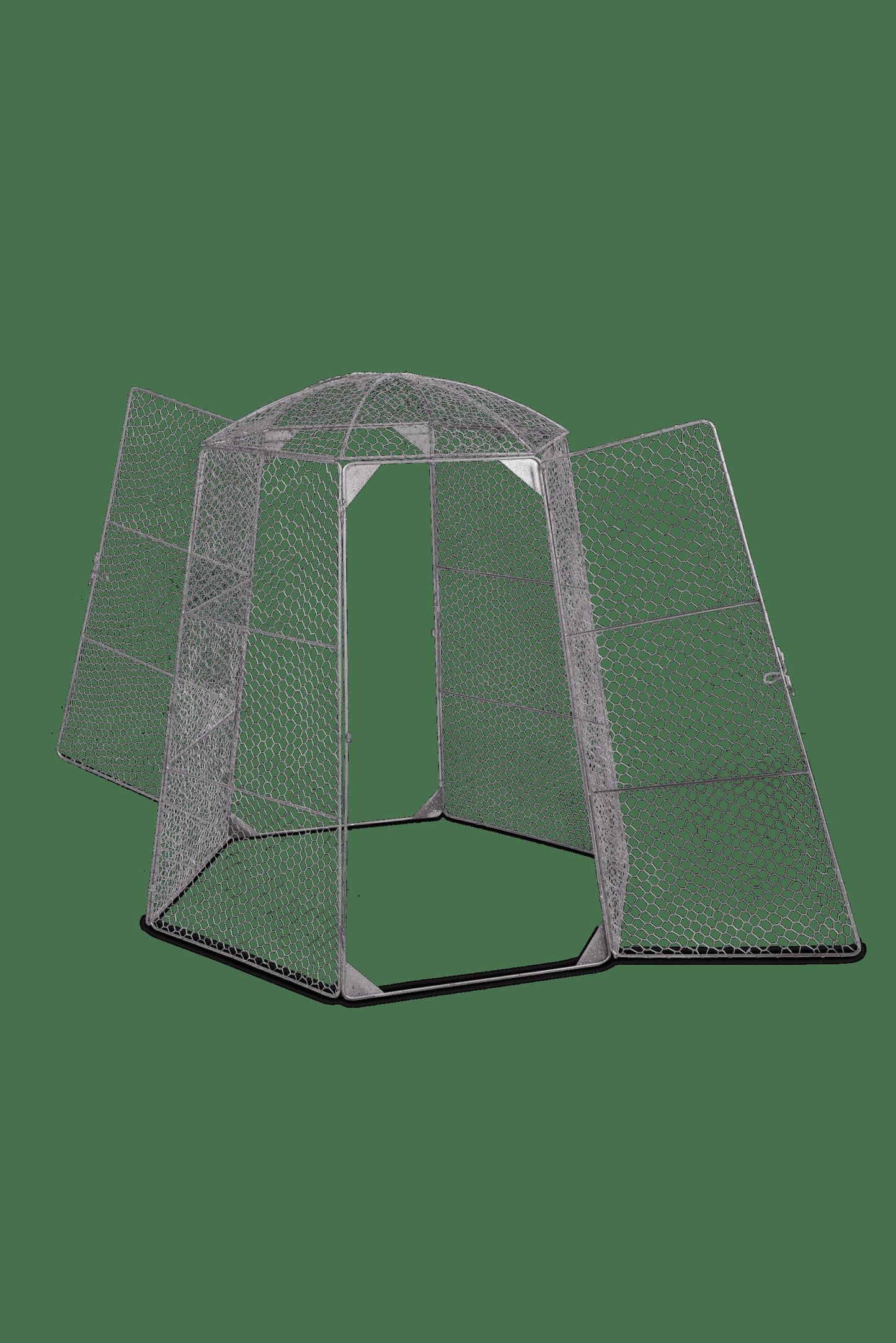 Chicken Wire Super Dome