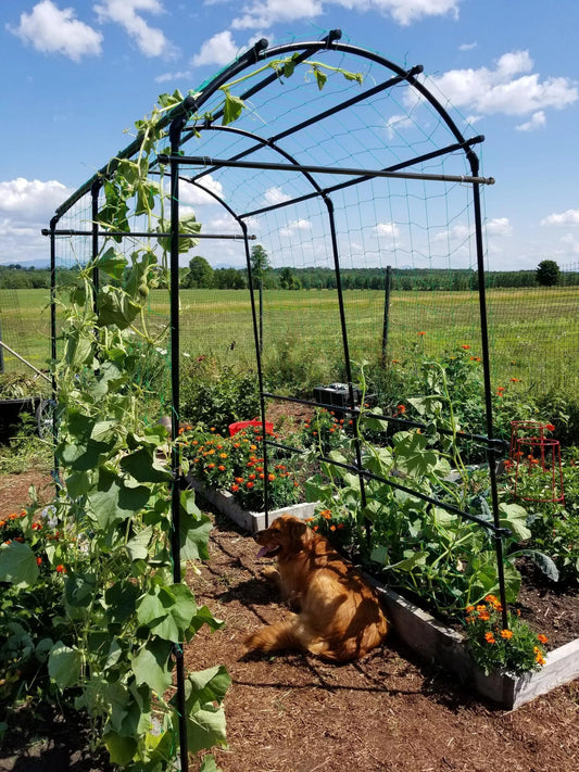 TitanTM Squash Tunnel