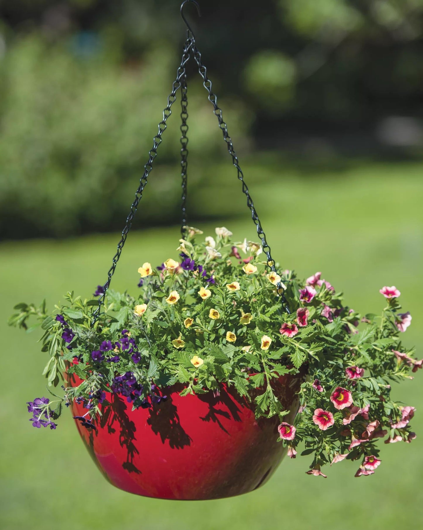 VivaTM Self-Watering Hanging Basket, 14" Diameter