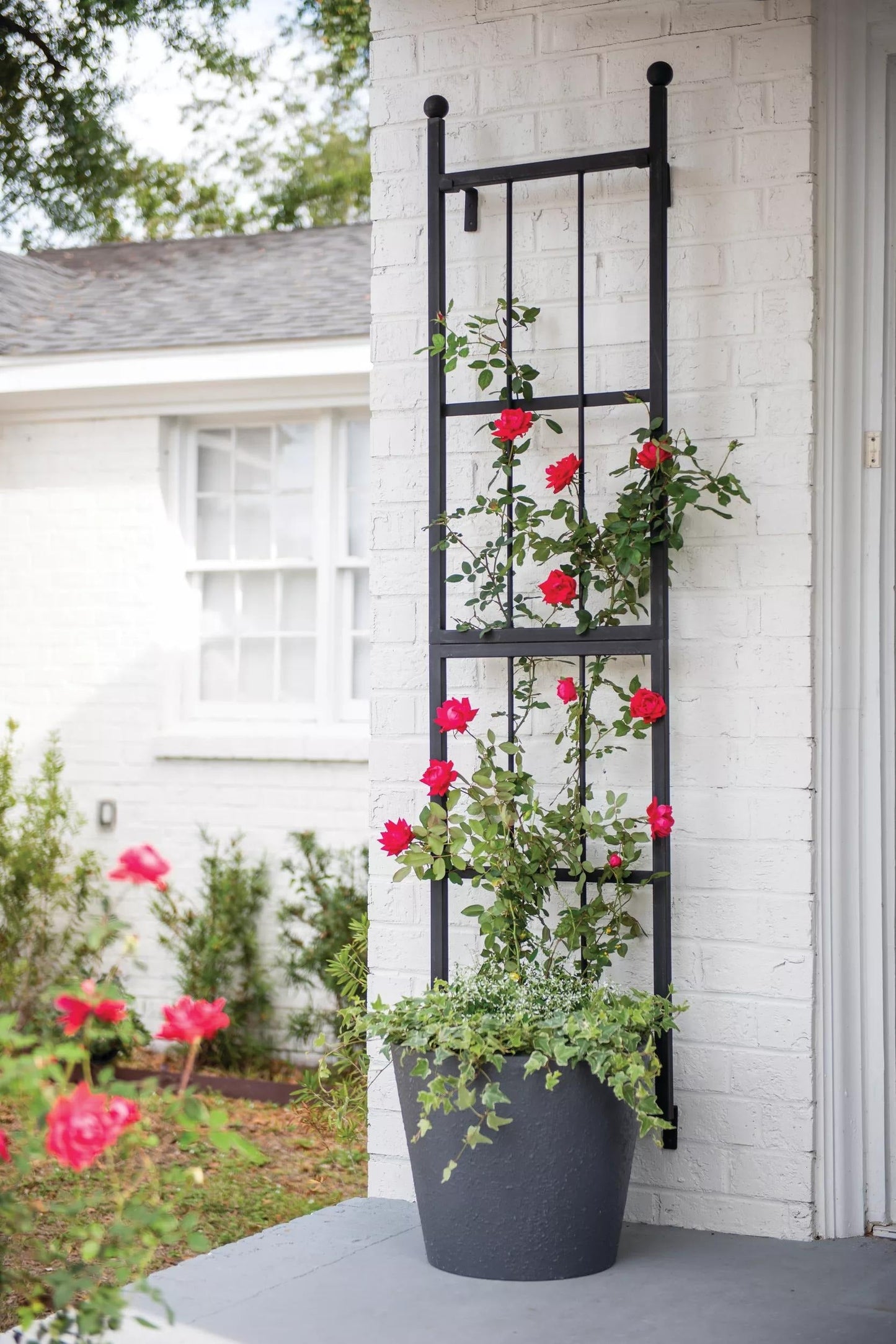 EssexTM Wall Trellis