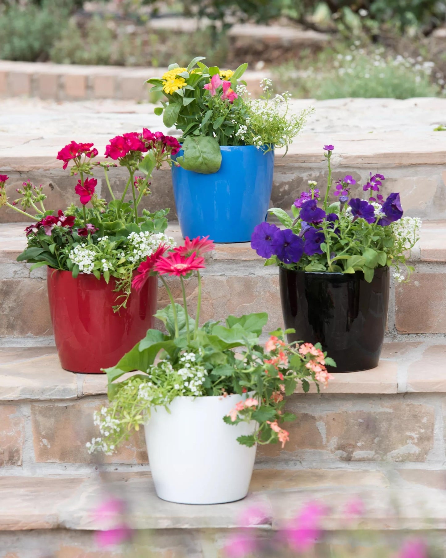 VivaTM Round Self-Watering Planter, 7" Diameter
