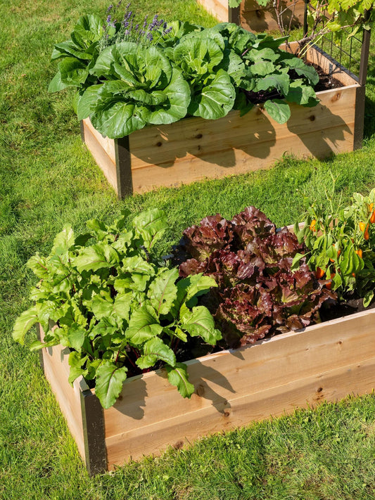 Deep RootTM Cedar Raised Beds, 2' Wide (14.5" D)