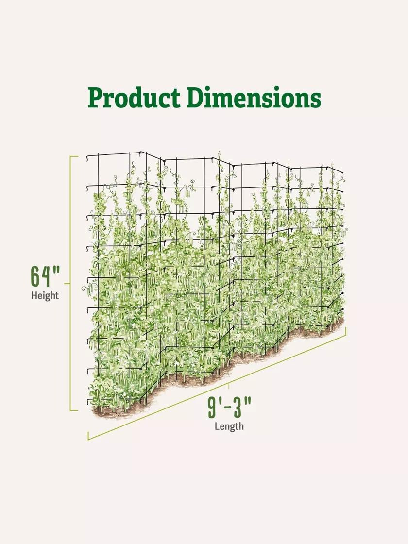 Tall Expandable Pea Trellis