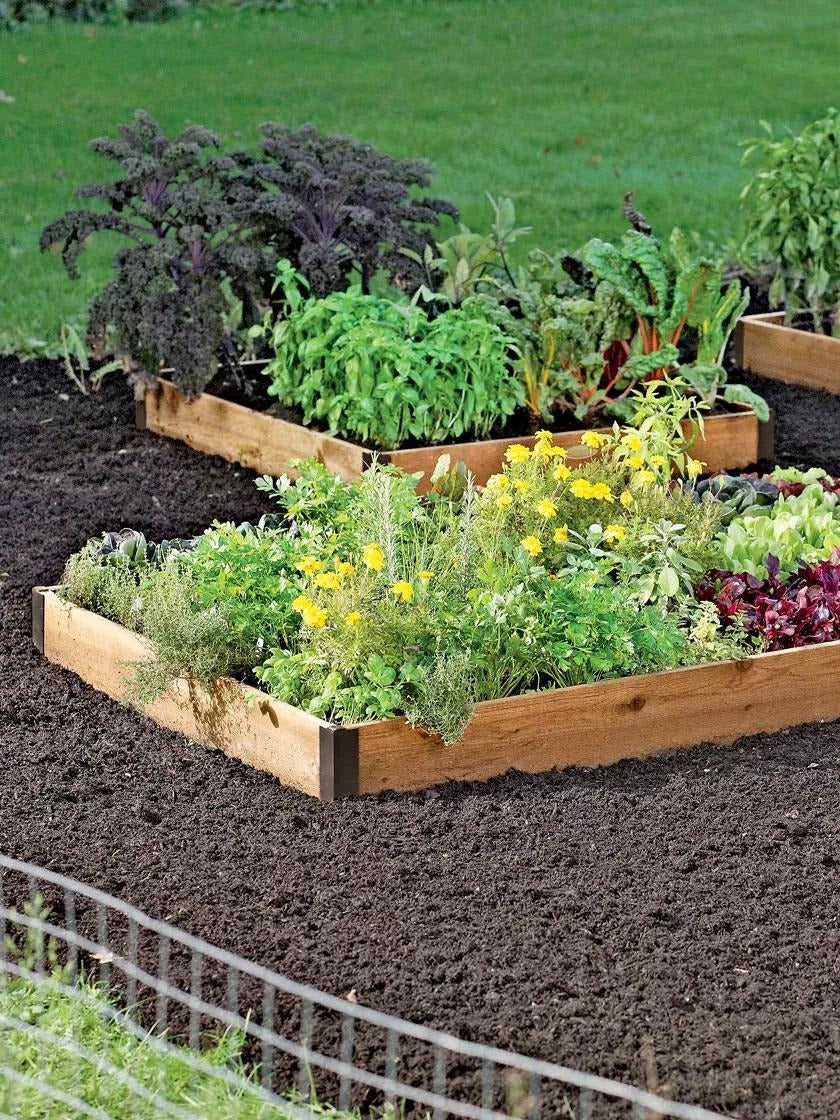 Cedar Raised Beds, 4' Wide (7.25" D)