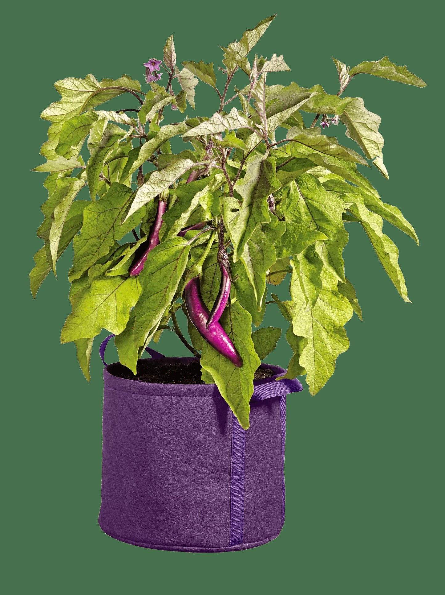 Gardener's Best® Universal Grow Bag