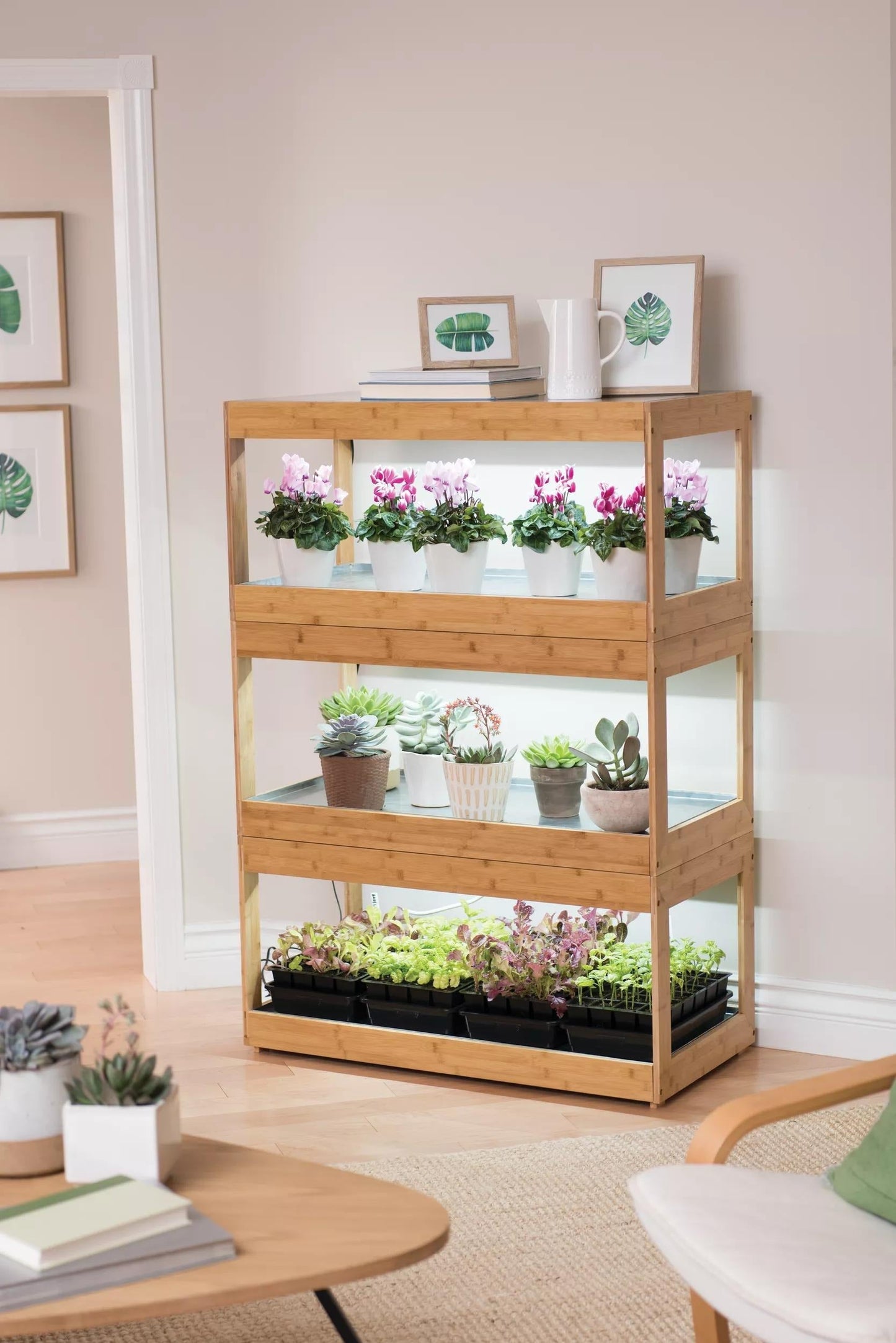 Bamboo LED Grow Light Garden for Succulents and Seeds