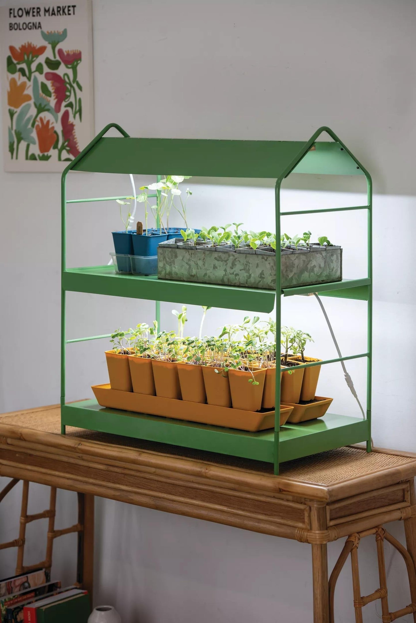 AgieTM Tabletop LED Light Garden