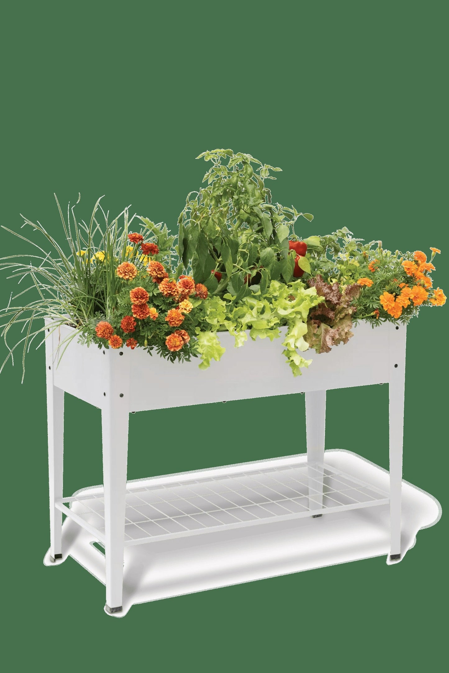 DemeterTM Elevated Raised Bed