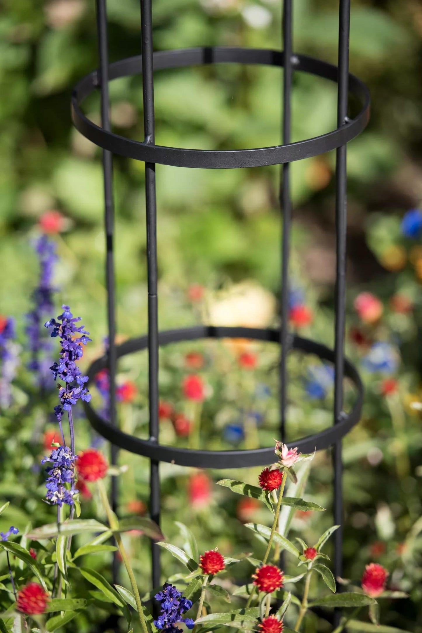 EssexTM Round Trellises