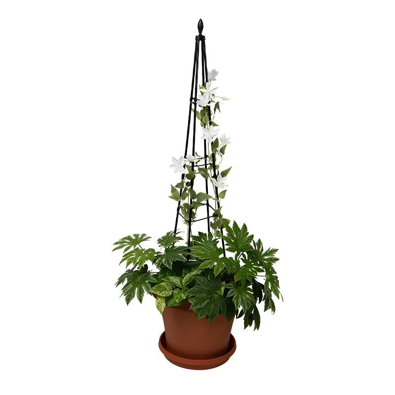 TitanTM Pyramid Trellis