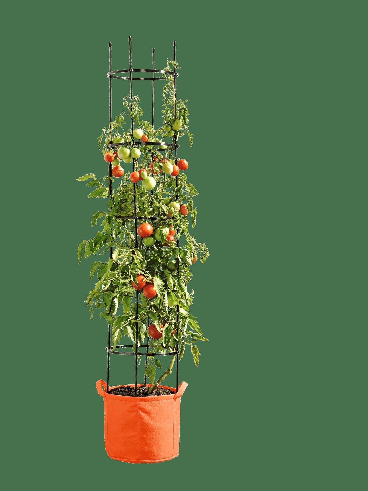 Gardener's Best® Tomato Grow Bag Set