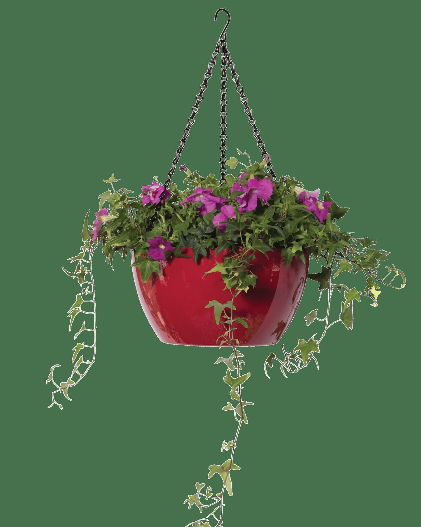 VivaTM Self-Watering Hanging Basket, 11" Diameter