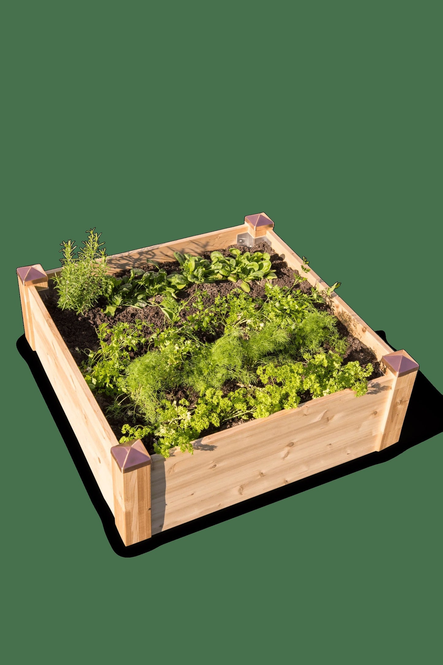 Copper Cap Raised Beds (14" D)