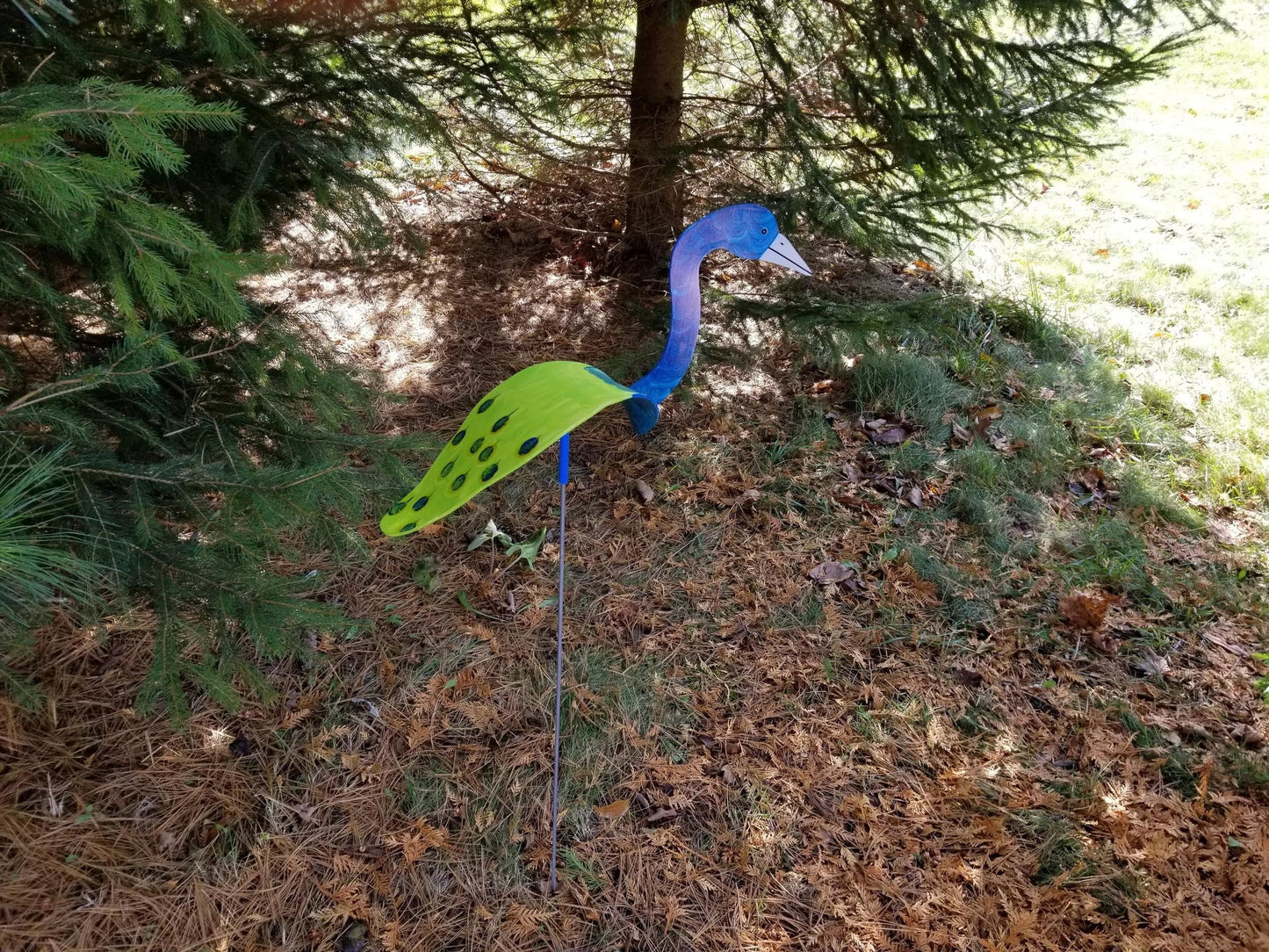 Florida Dancing Birds®, Peacock