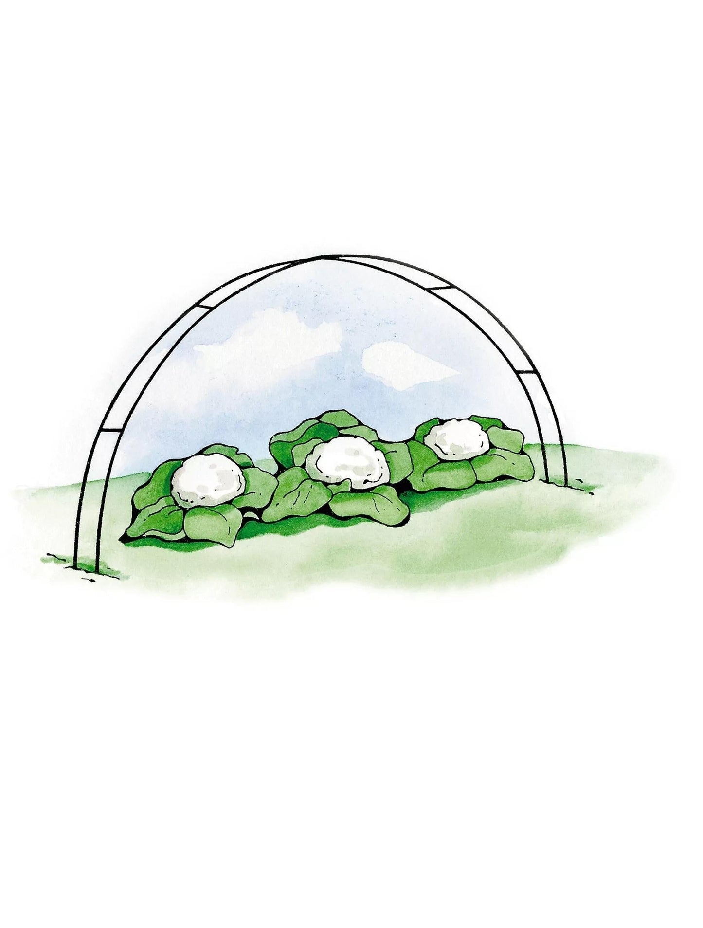 Super HoopsTM, Set of 6