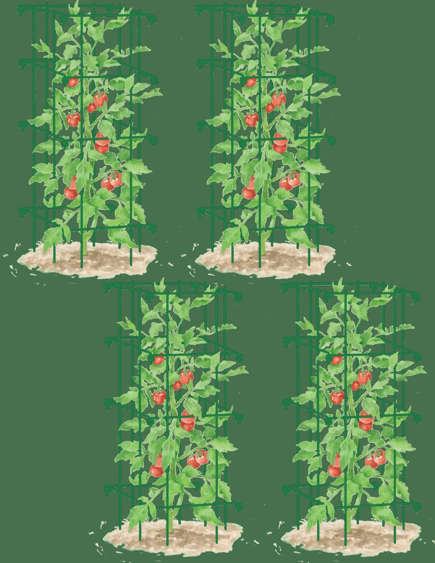 Tomato Cages, Set of 4