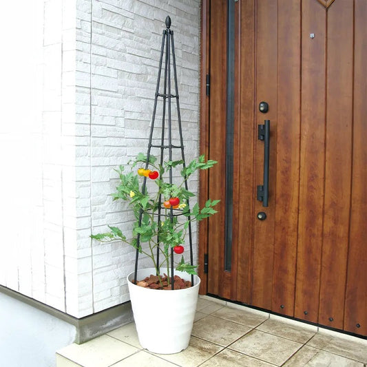 TitanTM Pyramid Trellis