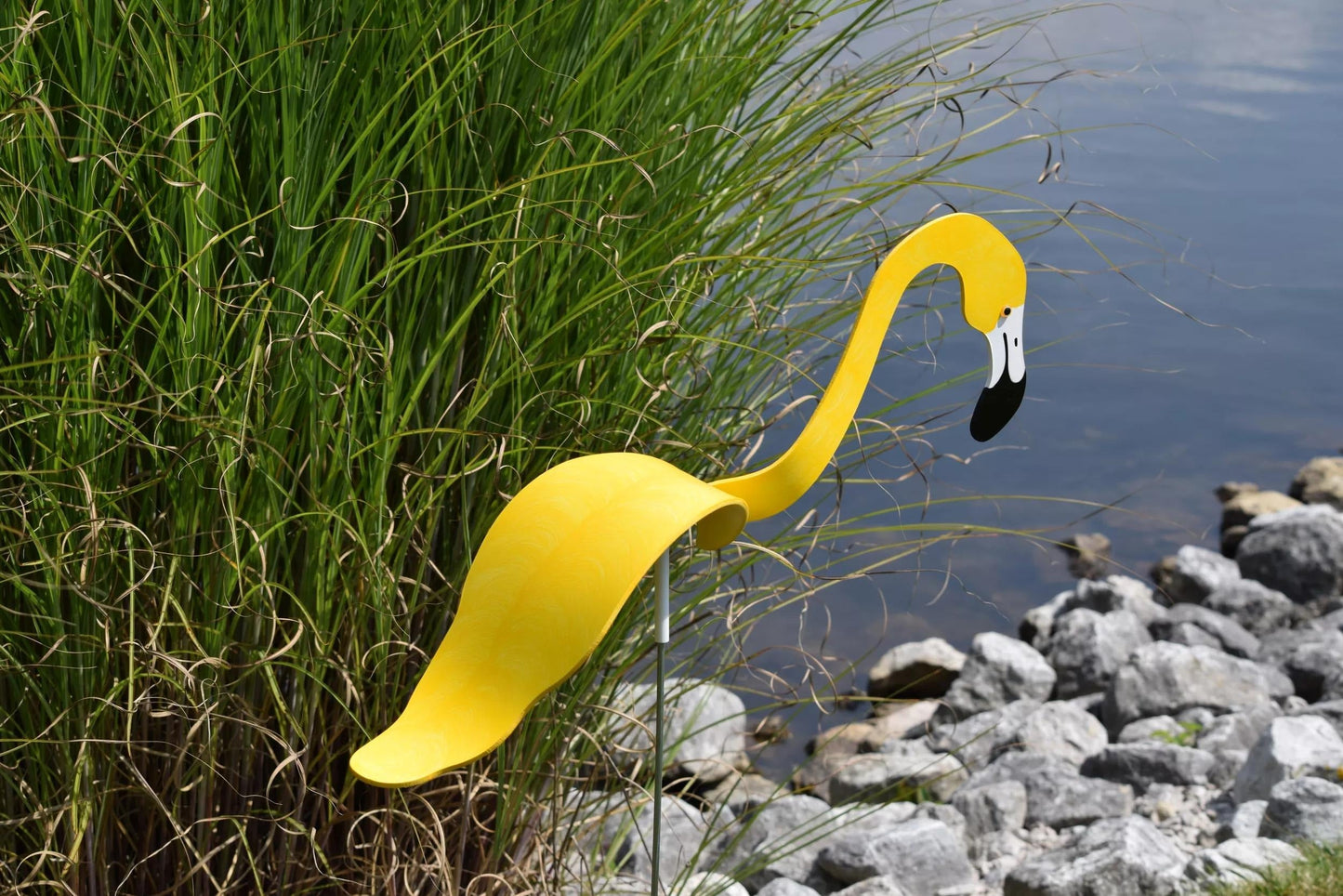 Florida Dancing Birds®, Flamingos