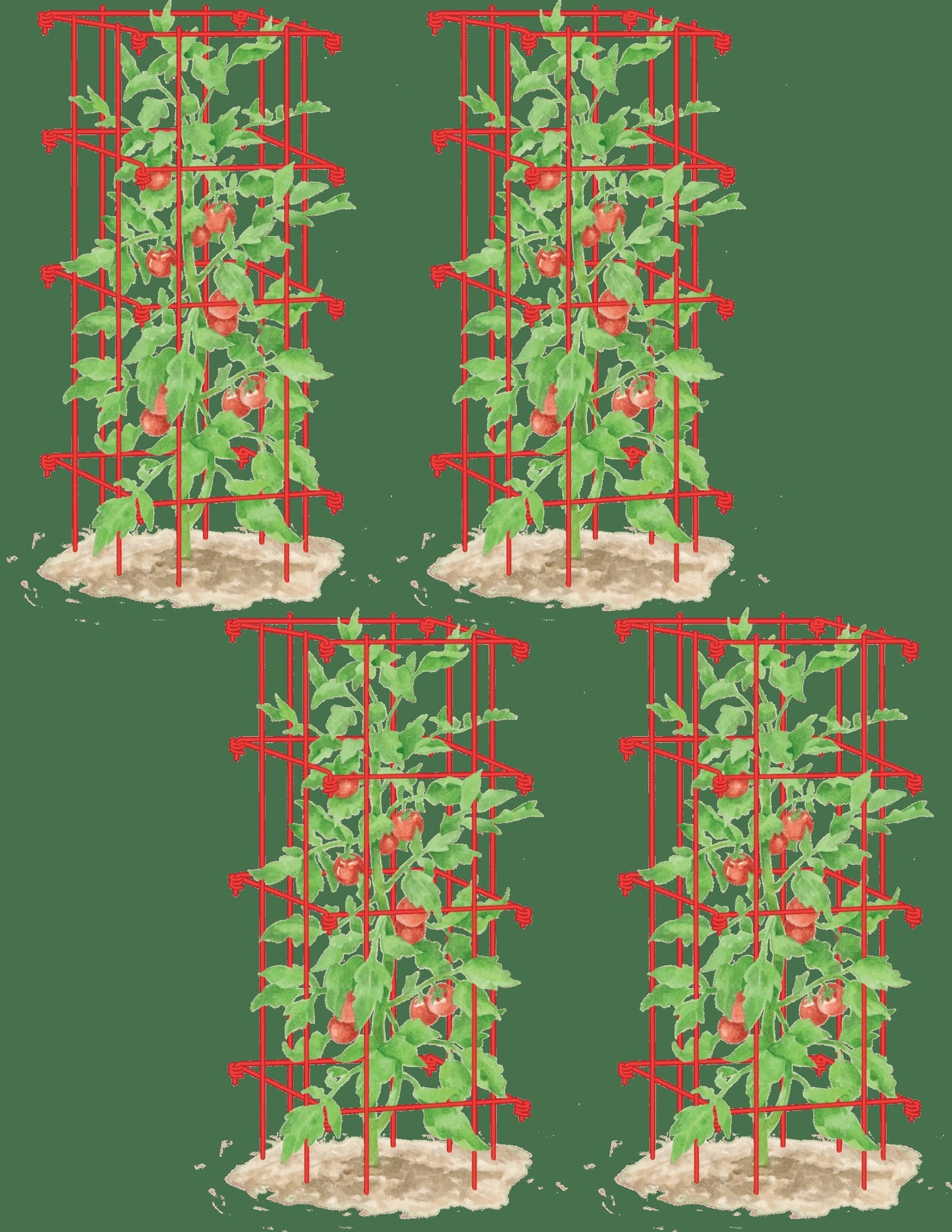 Tomato Cages, Set of 4