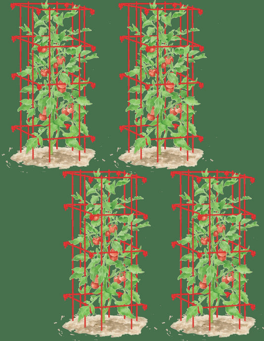 Tomato Cages, Set of 4