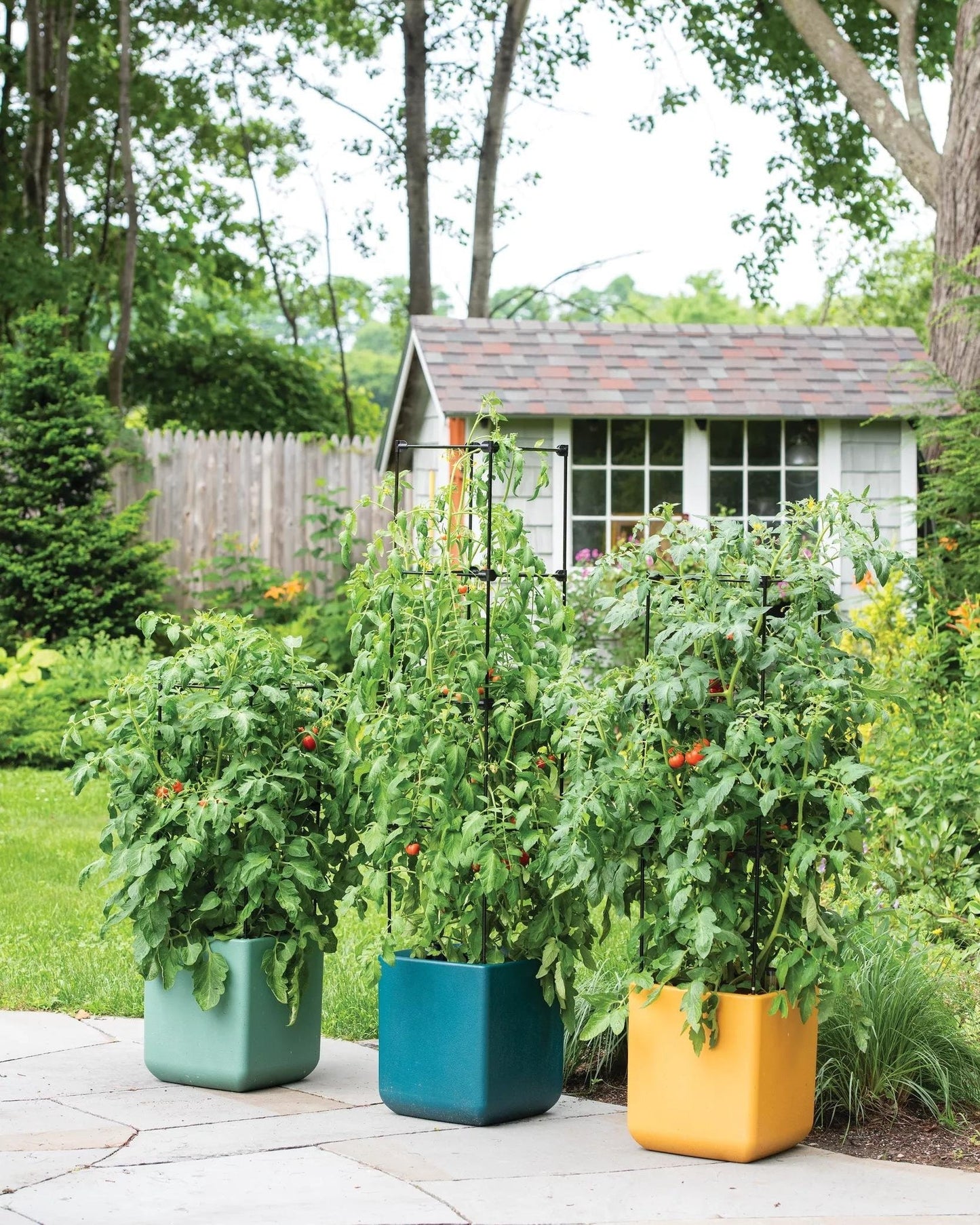 OasisTM Self-Watering Tomato Planter With Trellis