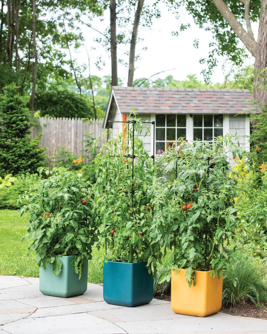 OasisTM Self-Watering Tomato Planter With Trellis