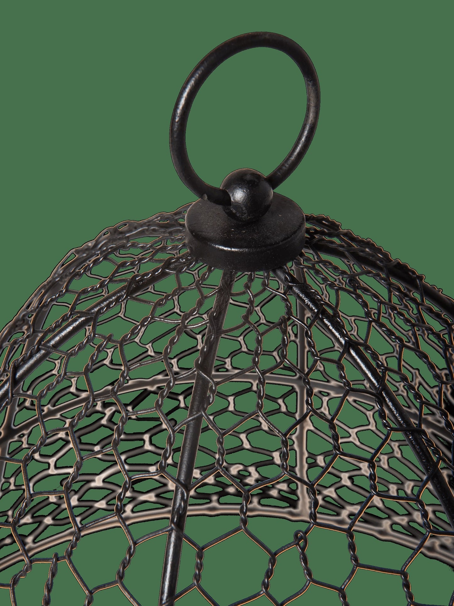 Chicken Wire Cloche
