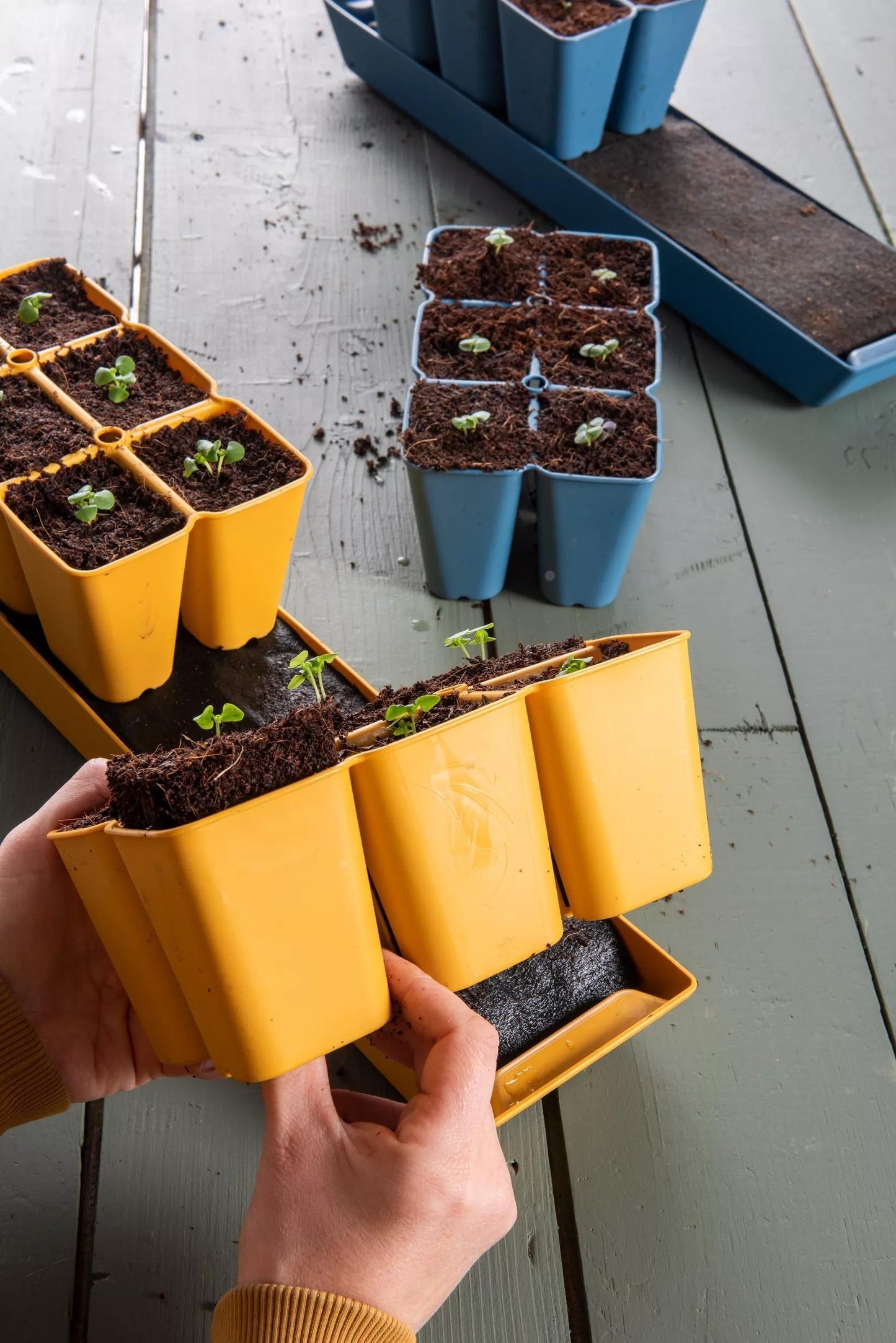 Gardener's Best® XL Seed Starting Kit