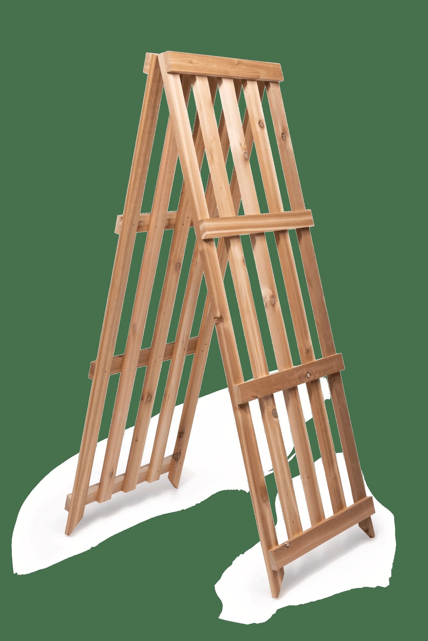 Cedar Shrub Guard