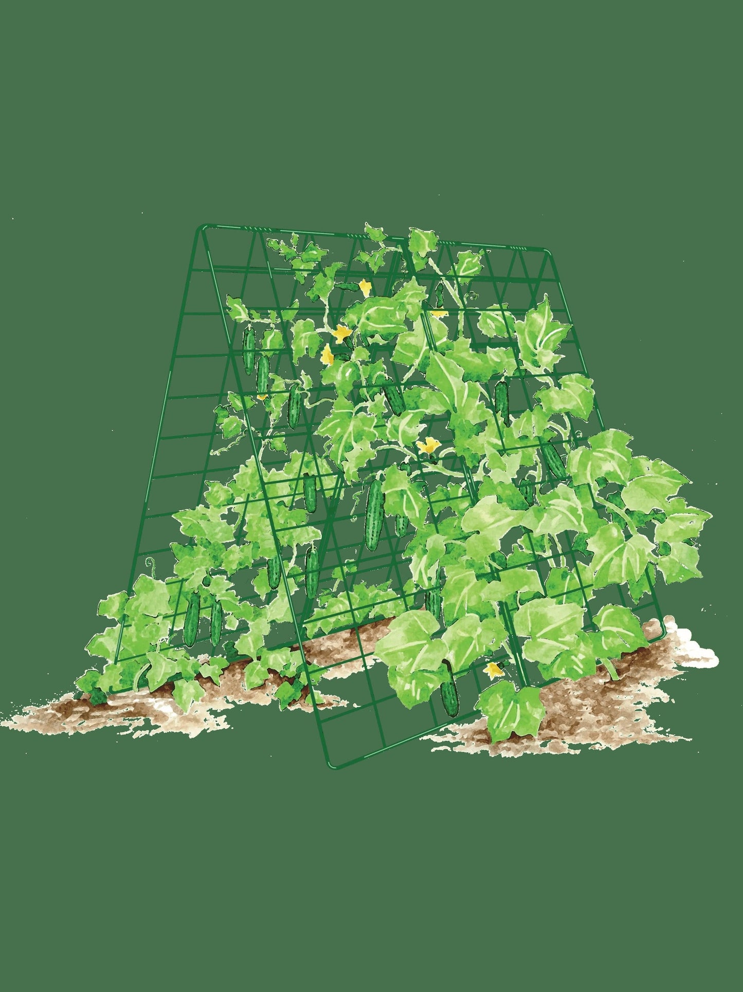 Deluxe Cucumber Trellis
