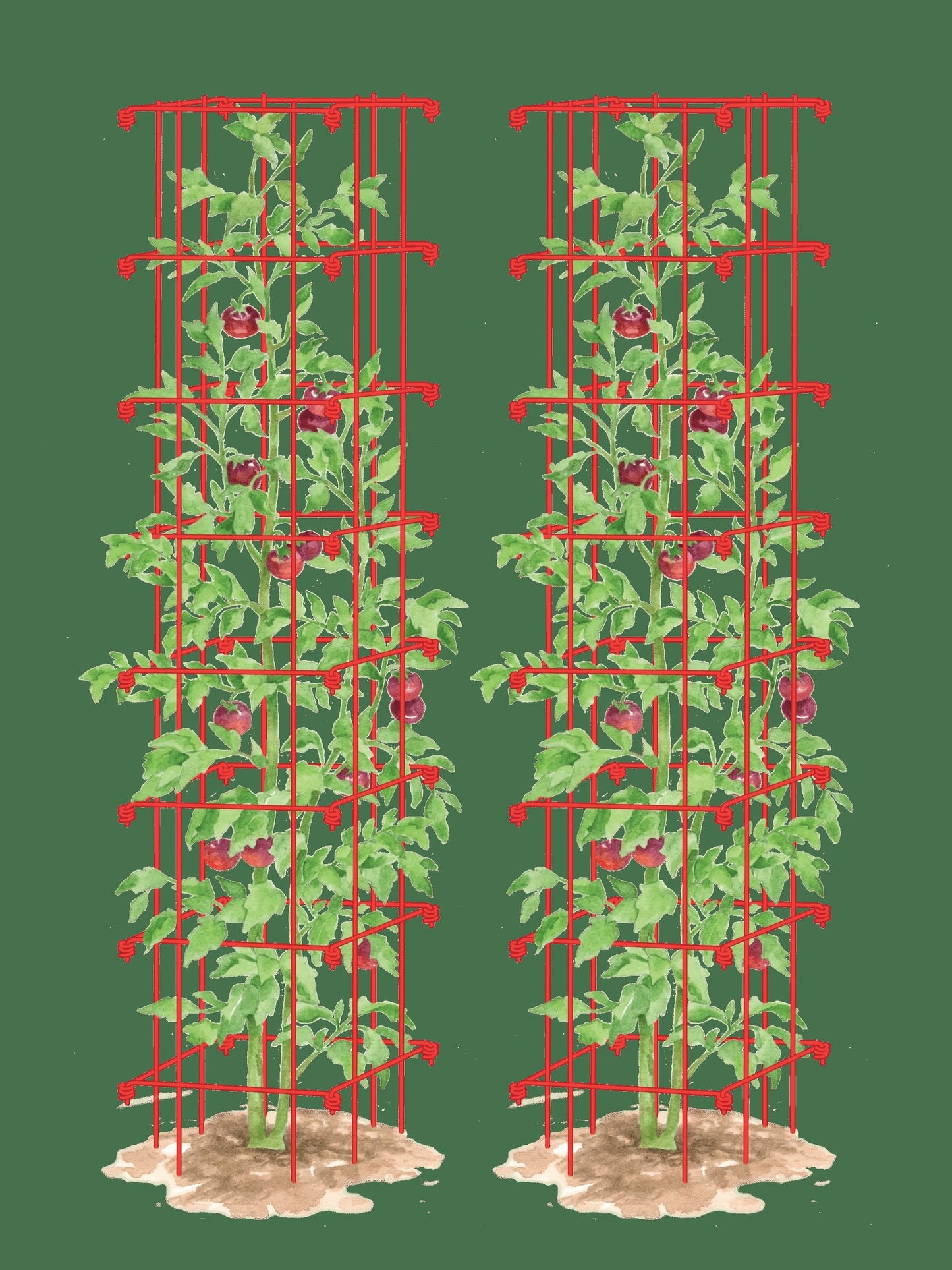 Tomato Towers, Set of 2